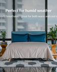 Fitted bedsheet set, Extra-long staple cotton - Kapas Living Singapore