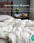 Down duvet/quilt Down duvet- Kapas Living Singapore