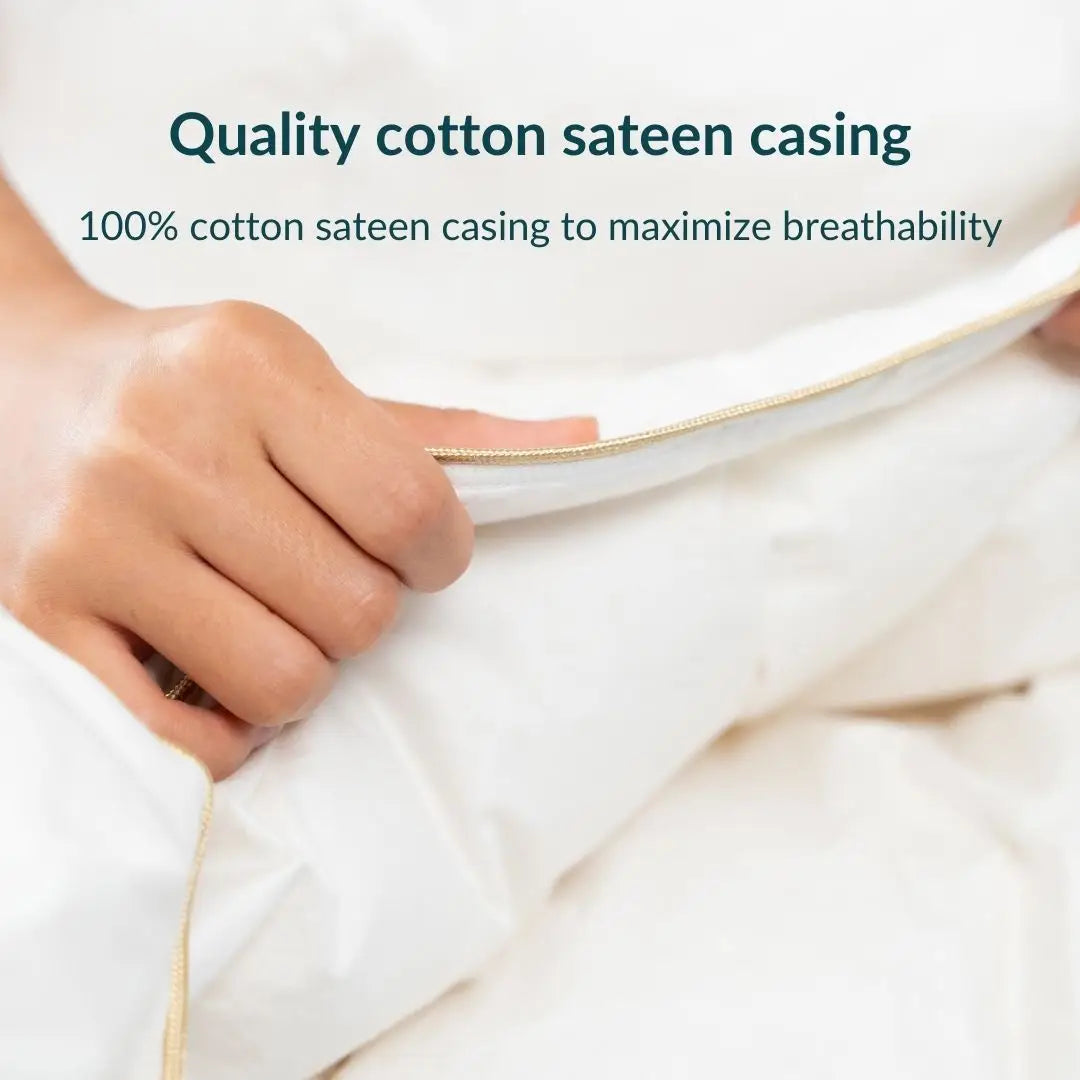 Down duvet/quilt Down duvet- Kapas Living Singapore