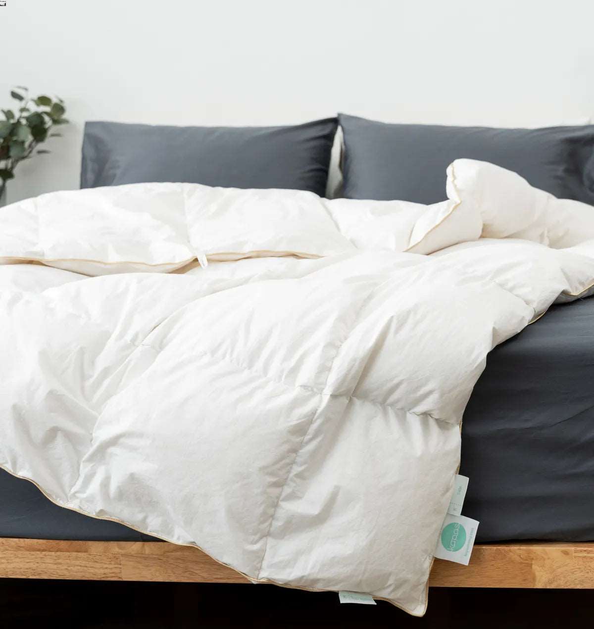 OPTIMIZE_BACKUP_PRODUCT_Down duvet/quilt