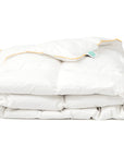 Down duvet/quilt Down duvet- Kapas Living Singapore