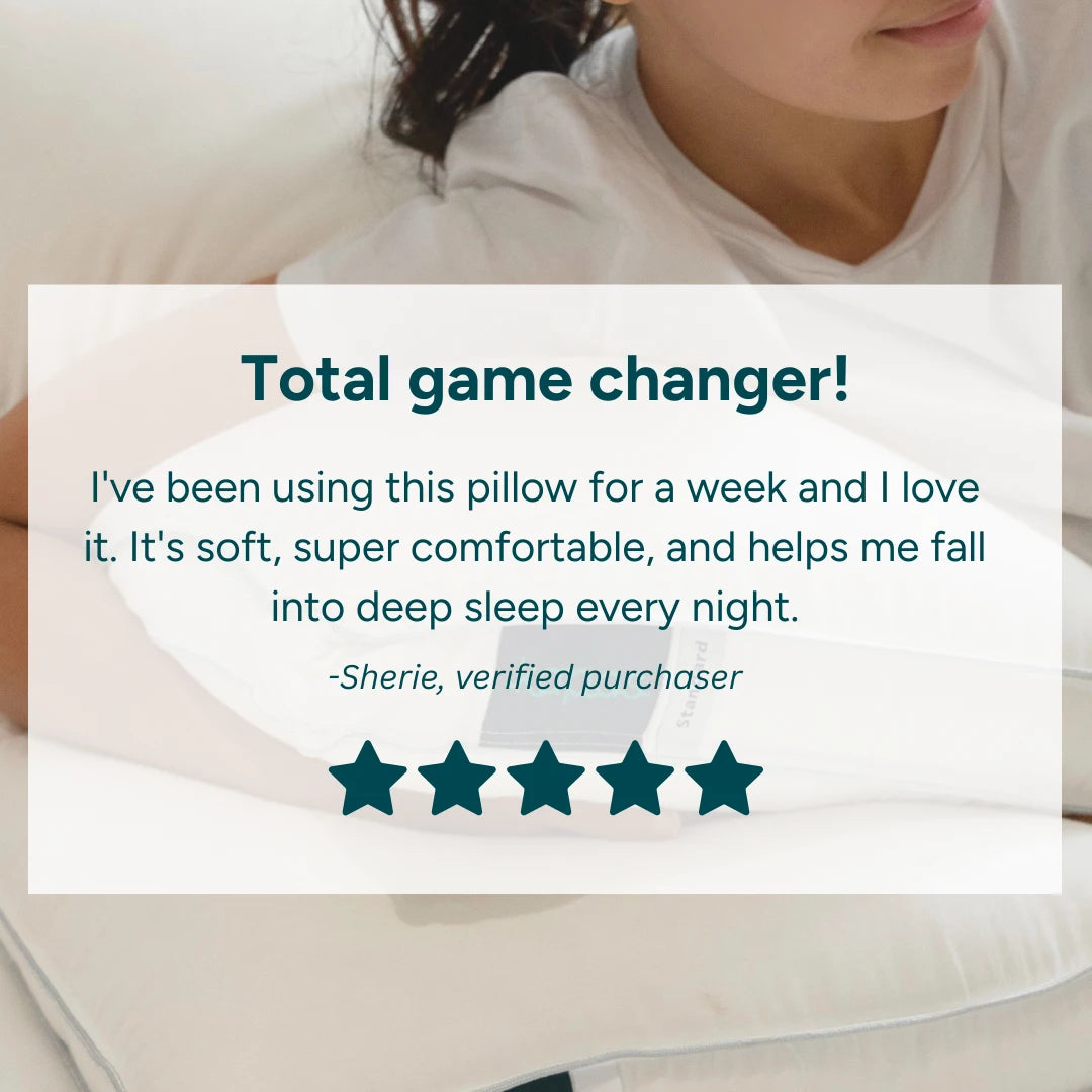 Alternative Down Pillow