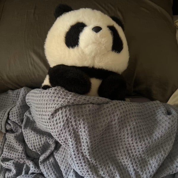Oi wan Lai